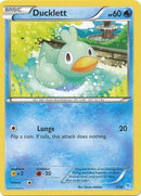 Ducklett (7/30) [XY: Trainer Kit 3 - Suicune] - The Mythic Store | 24h Order Processing