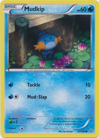 Mudkip (33/160) (Sheen Holo) [XY: Primal Clash] - The Mythic Store | 24h Order Processing