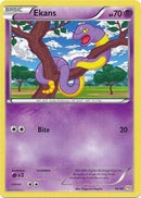 Ekans (16/30) [XY: Trainer Kit - Noivern] - The Mythic Store | 24h Order Processing