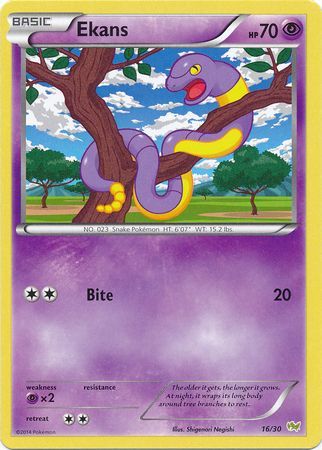 Ekans (16/30) [XY: Trainer Kit - Noivern] - The Mythic Store | 24h Order Processing