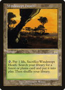 Windswept Heath [Onslaught] - The Mythic Store | 24h Order Processing