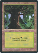 Forest (C) [Foreign Black Border] - The Mythic Store | 24h Order Processing
