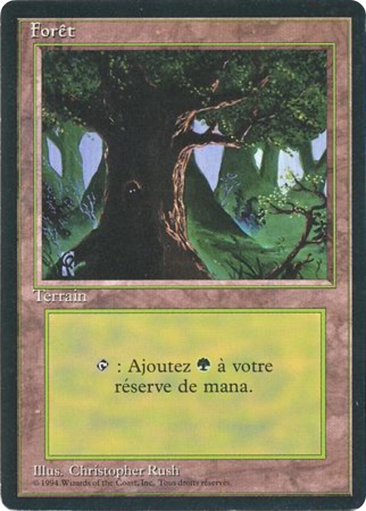 Forest (C) [Foreign Black Border] - The Mythic Store | 24h Order Processing