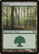 Forest (29) [Duel Decks: Elves vs. Goblins] - The Mythic Store | 24h Order Processing