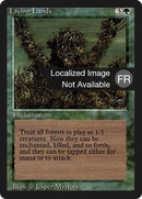 Living Lands [Foreign Black Border] - The Mythic Store | 24h Order Processing