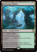 Festering Thicket [Secrets of Strixhaven Commander] - The Mythic Store | 24h Order Processing