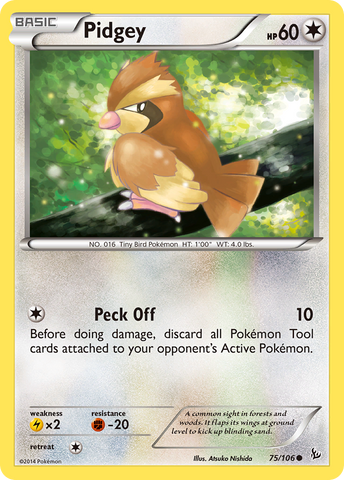 Pidgey (75/106) [XY: Flashfire] - The Mythic Store | 24h Order Processing