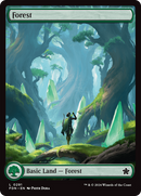 Forest (0291) [Foundations] - The Mythic Store | 24h Order Processing