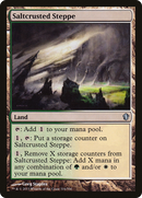 Saltcrusted Steppe [Commander 2013] - The Mythic Store | 24h Order Processing