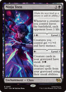 Ninja Teen [Teenage Mutant Ninja Turtles] - The Mythic Store | 24h Order Processing