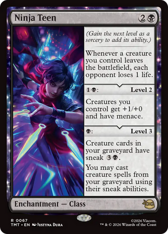 Ninja Teen [Teenage Mutant Ninja Turtles] - The Mythic Store | 24h Order Processing