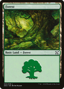 Forest (33) [Duel Decks: Elves vs. Inventors] - The Mythic Store | 24h Order Processing