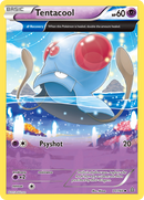 Tentacool (71/160) [XY: Primal Clash] - The Mythic Store | 24h Order Processing