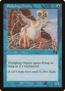 Fledgling Osprey [Urza's Destiny] - The Mythic Store | 24h Order Processing