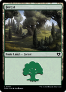Forest (797) [Commander Masters] - The Mythic Store | 24h Order Processing