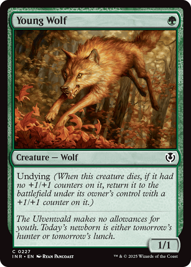 Young Wolf [Innistrad Remastered] - The Mythic Store | 24h Order Processing