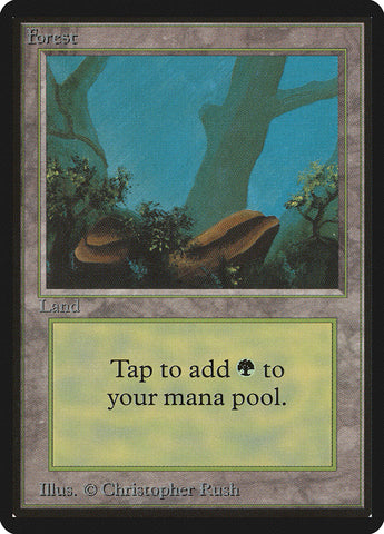 Forest (300) [Beta Edition] - The Mythic Store | 24h Order Processing