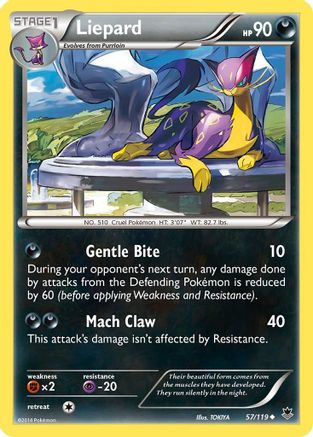 Liepard (57/119) [XY: Phantom Forces] - The Mythic Store | 24h Order Processing