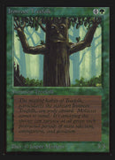 Ironroot Treefolk [International Collectors' Edition] - The Mythic Store | 24h Order Processing