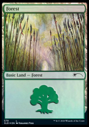 Forest (Elves) (579) [Secret Lair Drop Promos] - The Mythic Store | 24h Order Processing