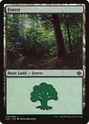 Forest (30) (Garruk vs. Liliana) [Duel Decks Anthology] - The Mythic Store | 24h Order Processing