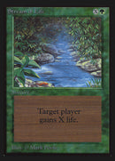 Stream of Life [International Collectors' Edition] - The Mythic Store | 24h Order Processing