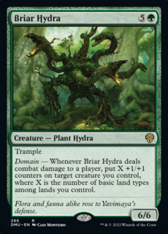 Briar Hydra [Dominaria United] - The Mythic Store | 24h Order Processing