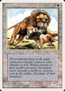 Savannah Lions [Summer Magic / Edgar] - The Mythic Store | 24h Order Processing
