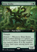 Briar Hydra (Extended Art) [Dominaria United] - The Mythic Store | 24h Order Processing