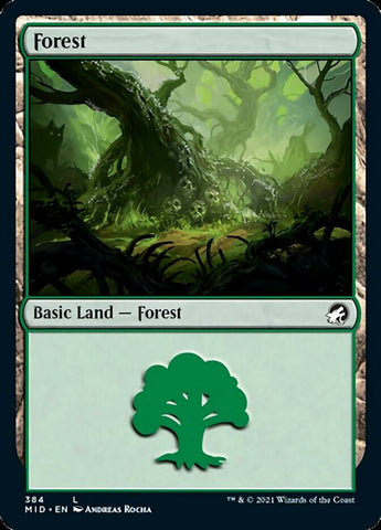 Forest (384) [Innistrad: Midnight Hunt] - The Mythic Store | 24h Order Processing