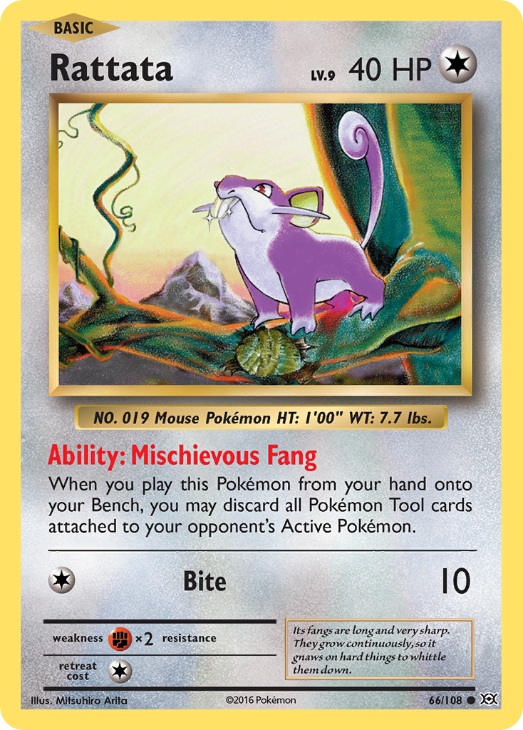 Rattata (66/108) [XY: Evolutions] - The Mythic Store | 24h Order Processing