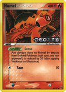 Numel (68/107) (Stamped) [EX: Deoxys] - The Mythic Store | 24h Order Processing