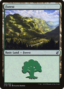 Forest (300) [Commander 2019] - The Mythic Store | 24h Order Processing