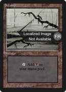 Swamp (A) [Foreign Black Border] - The Mythic Store | 24h Order Processing
