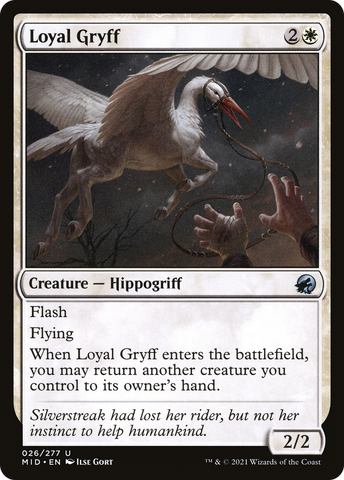 Loyal Gryff [Innistrad: Midnight Hunt] - The Mythic Store | 24h Order Processing