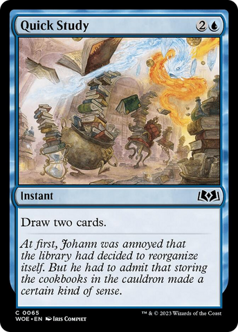 Quick Study [Wilds of Eldraine] - The Mythic Store | 24h Order Processing