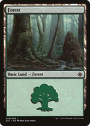 Forest (28) (Garruk vs. Liliana) [Duel Decks Anthology] - The Mythic Store | 24h Order Processing