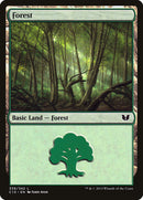 Forest (339) [Commander 2015] - The Mythic Store | 24h Order Processing
