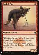 Jackal Pup [Mystery Booster] - The Mythic Store | 24h Order Processing