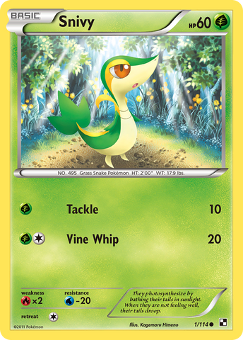 Snivy (1/114) [Black & White: Base Set] - The Mythic Store | 24h Order Processing