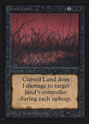 Cursed Land [International Collectors' Edition] - The Mythic Store | 24h Order Processing