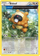 Bidoof (117/160) [XY: Primal Clash] - The Mythic Store | 24h Order Processing