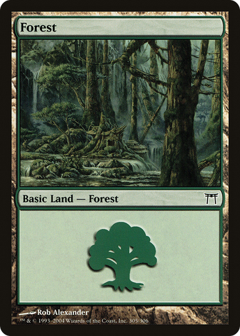 Forest (305) [Champions of Kamigawa] - The Mythic Store | 24h Order Processing