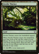 Fertile Thicket [Duel Decks: Nissa vs. Ob Nixilis] - The Mythic Store | 24h Order Processing