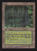 Bayou [Collectors' Edition] - The Mythic Store | 24h Order Processing