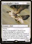 Cartographer's Hawk [Starter Commander Decks] - The Mythic Store | 24h Order Processing