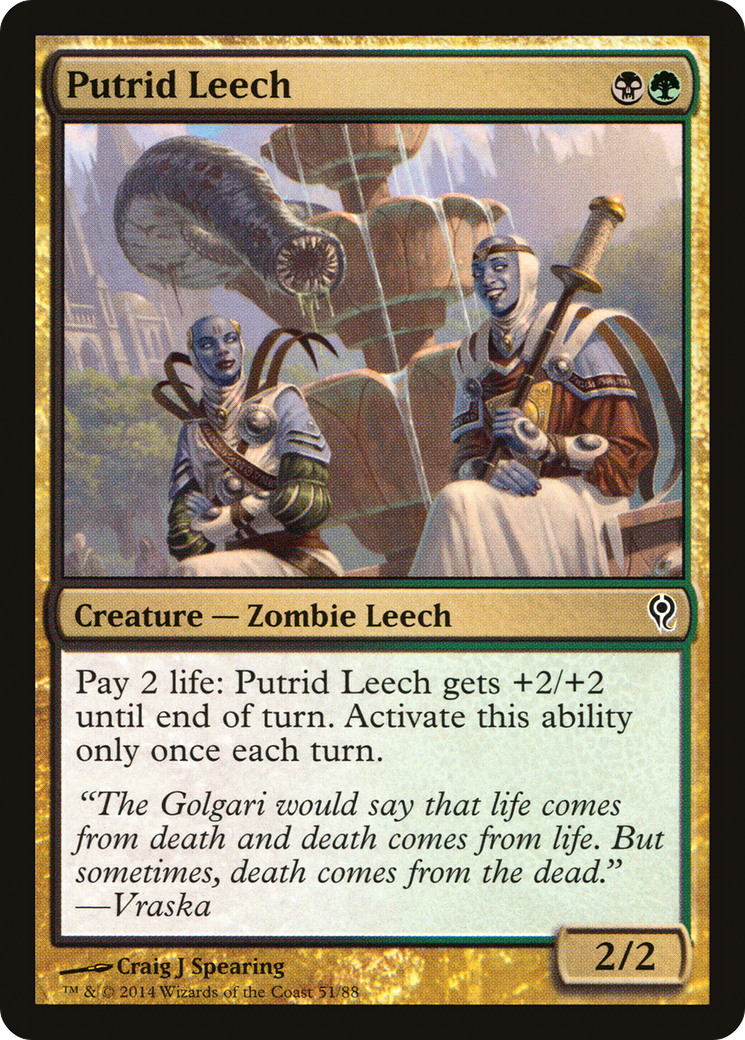 Putrid Leech [Duel Decks: Jace vs. Vraska] - The Mythic Store | 24h Order Processing