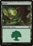 Forest (31) (Garruk vs. Liliana) [Duel Decks Anthology] - The Mythic Store | 24h Order Processing
