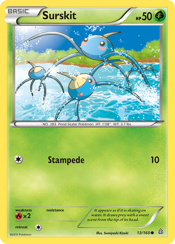 Surskit (13/160) [XY: Primal Clash] - The Mythic Store | 24h Order Processing