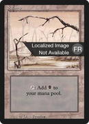 Swamp (B) [Foreign Black Border] - The Mythic Store | 24h Order Processing